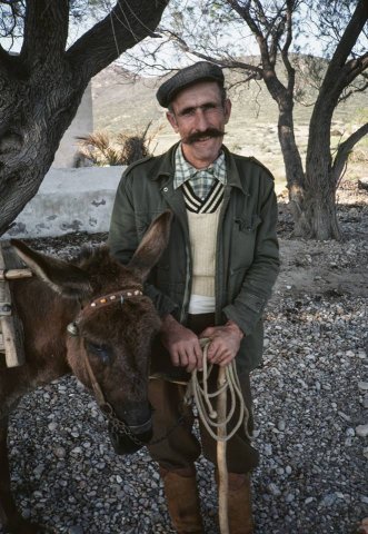 Καθημερινότητα