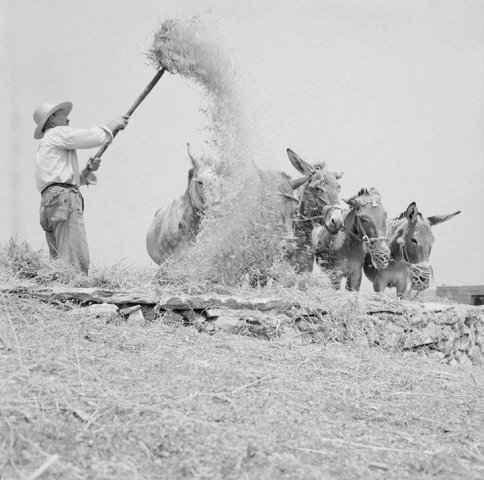 Καθημερινότητα