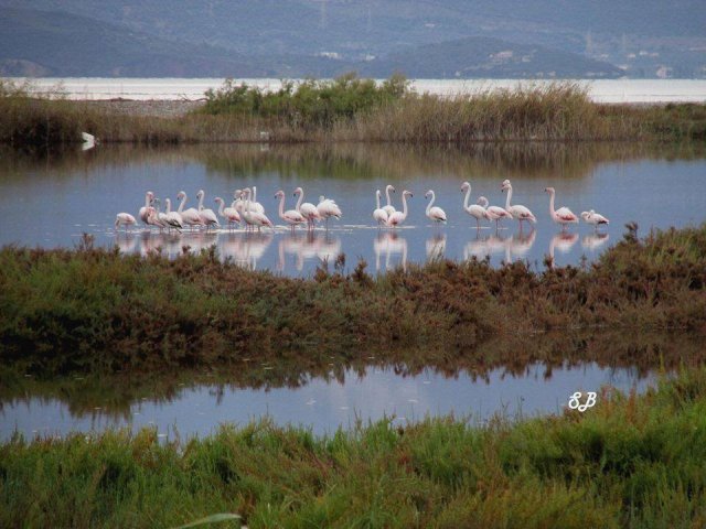 Κτίσματα και Ρυμοτομία