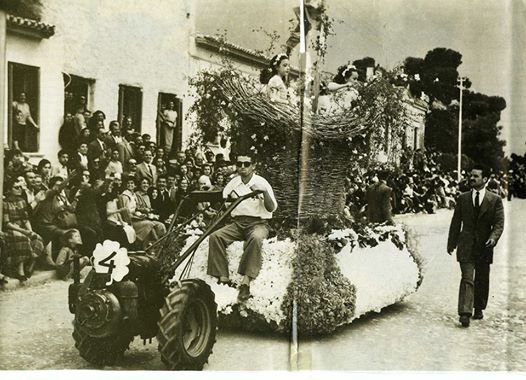 Τέχνες και Πολιτισμός 