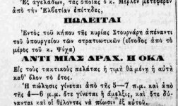 Τέχνες και Πολιτισμός