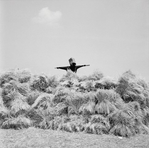 Καθημερινότητα