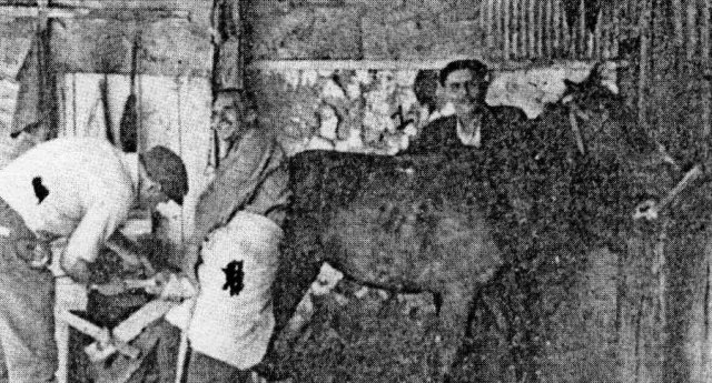 Καθημερινότητα