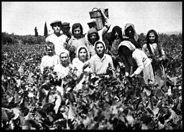 Καθημερινότητα
