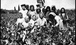 Καθημερινότητα